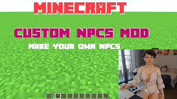 Install Custom NPCs Mod 1.15.2/1.12.2/1.7.10 for Minecraft