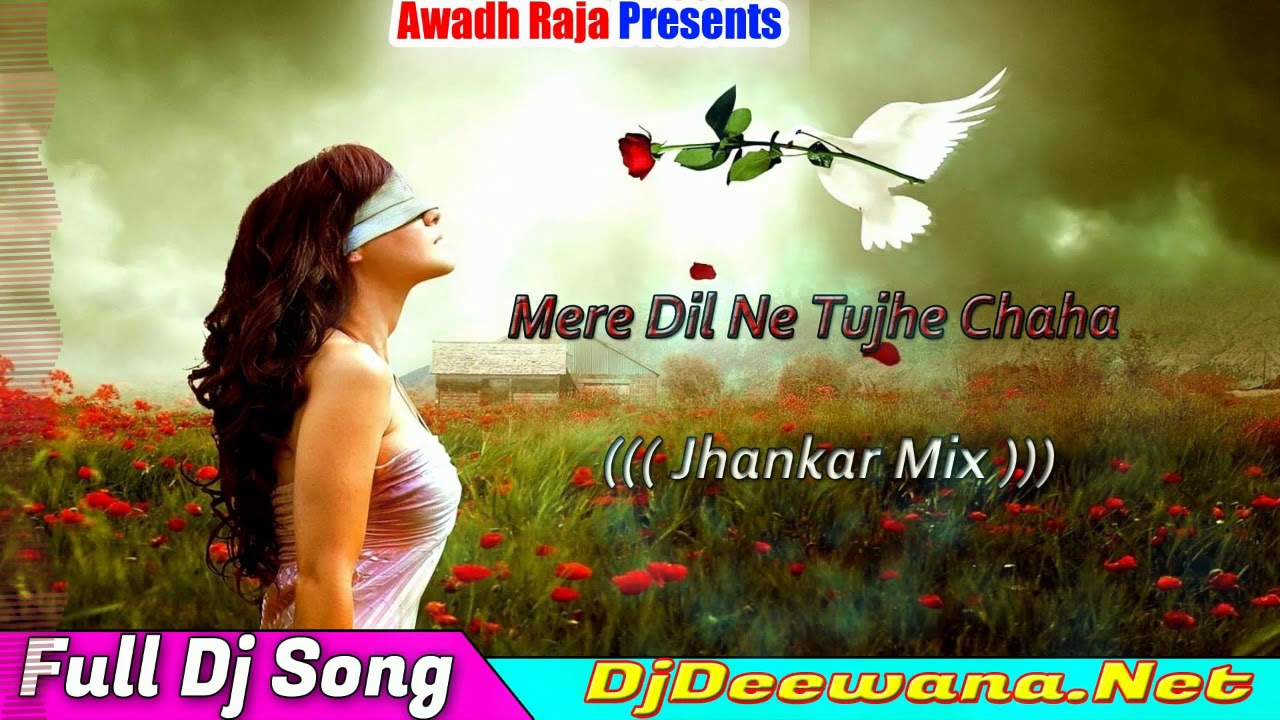 Mere Dil Ne Tujhe Chaha  Love Song  Dj Awadh Raja  Jhhankar Mix