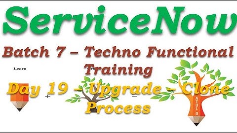 Batch 7 || Day 19 || Upgrade & Clone Process || Techno Functional Training || English #Shorts #Short