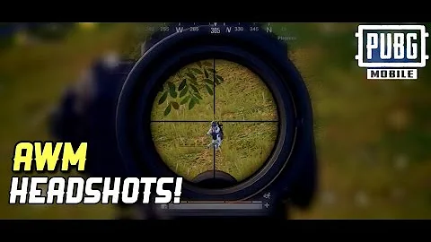 What is the AWM based on?