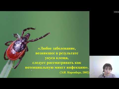 Инфекционные болезни. Клещевые инфекции