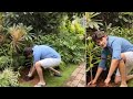 Mahesh Babu accepts 'Green India' challenge; nominates these three