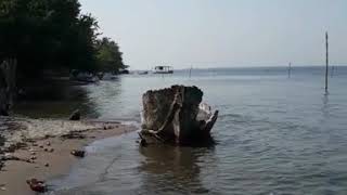 Isla corral de mulas#2