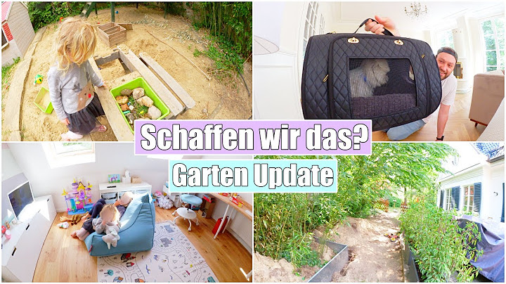 Es gibt Neuigkeiten! 😍 Baustelle im Garten & Welpen erziehen | Isabeau