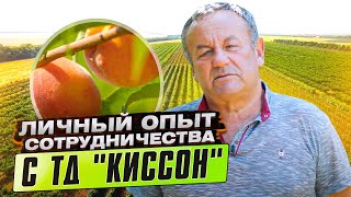 Михаил Вареник: личный опыт сотрудничества успешного садовода-виноградаря с ТД "КИССОН"