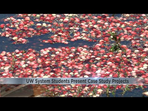 UW system students present their case studies