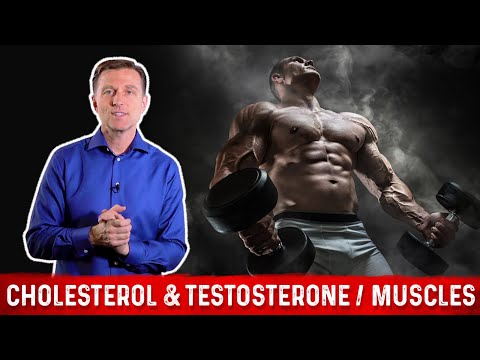 The Importance of Cholesterol for Your Muscles and Testosterone ? Dr. Berg