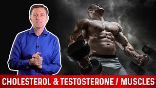 The Importance of Cholesterol for Your Muscles and Testosterone – Dr. Berg