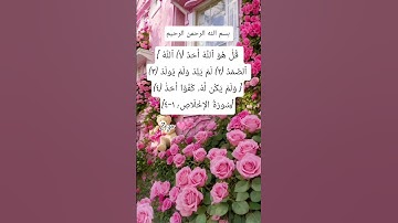 #سورة #الاخلاص #egzonibrahimi #quran #quranic #islamicquotes #allahuakbar #اكسبلور #dua #لايك #دعاء