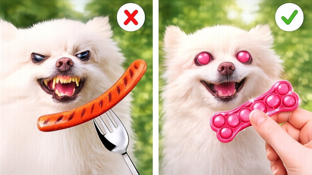 Pet Owners Will Love These Hacks 🐾 Cool Gadgets Tested by 123GO!