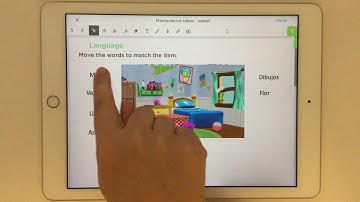 Ideas for Using Manipulatives