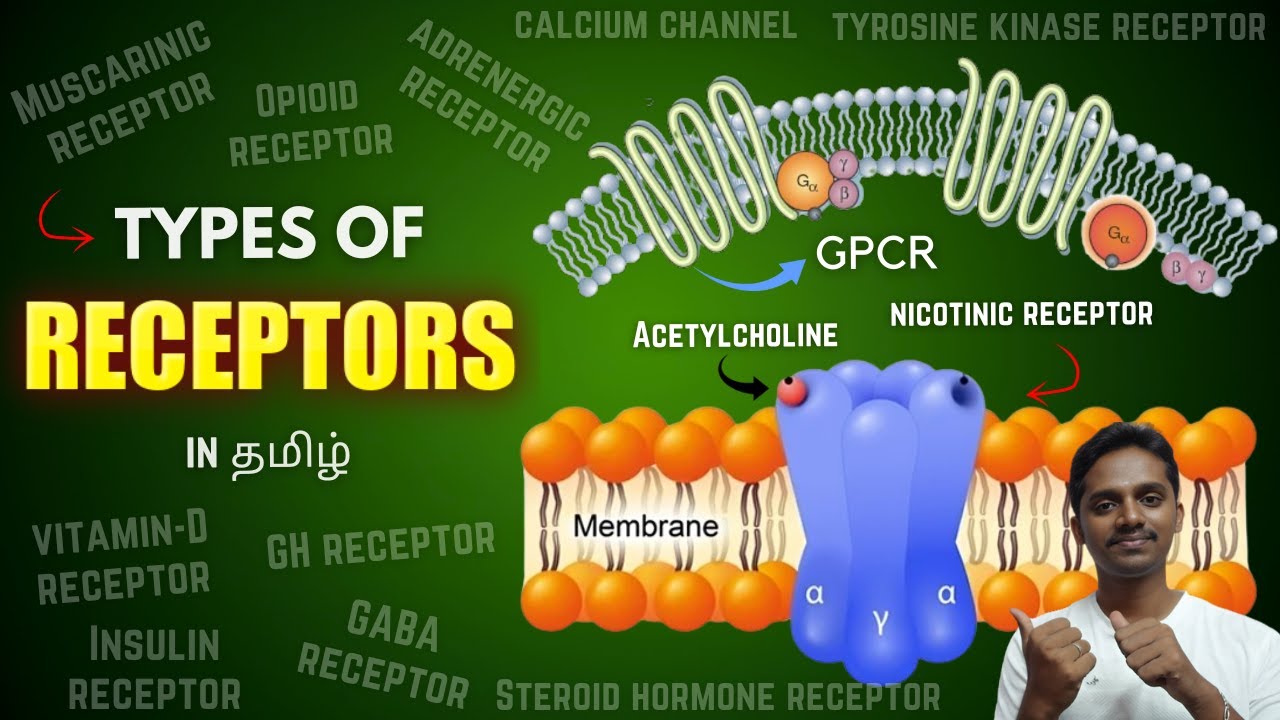 Types of Receptors in Tamil - YouTube