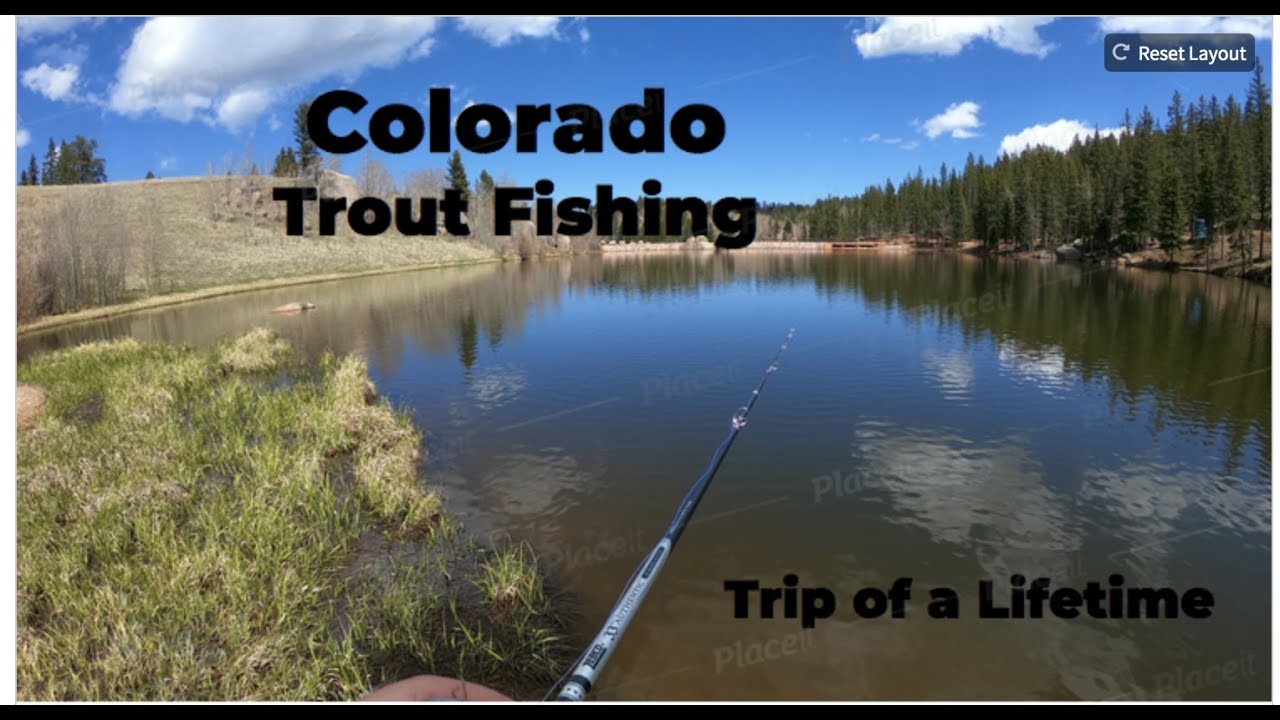 Amazing trout fishing in Colorado YouTube