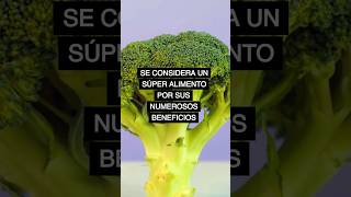 Brócoli - Propiedades Y Beneficios - Brain Food Español