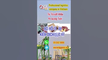 Procedures for exporting fresh sweet potatoes | logistics company in Vietnam | forwarder agent asia