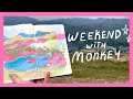 A weekend with monkey! | Chatty Art Vlog