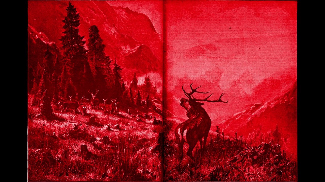 Obejrzyj Pierre Dutour - Deer Forest w YouTube Obejrzyj Pierre Dutour - Deer Forest w YouTube
