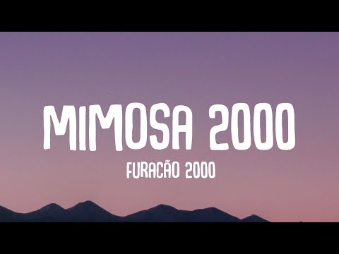 Furacão 2000 Mimosa 2000