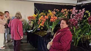 Шоу Орхидей в Санта Барбаре. Март 2024.😊