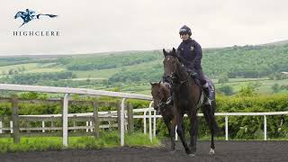 Cazoo Derby | Royal Patronage runs for Highclere Racing