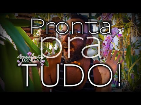🌿🏳‍🌈💚 PREPARE suas ORQUÍDEAS pro VERÃO... Nem que seja o próximo! #Orchid #Orquídea #Cultivo #Dicas