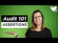 Audit 101 - ASSERTIONS in plain English