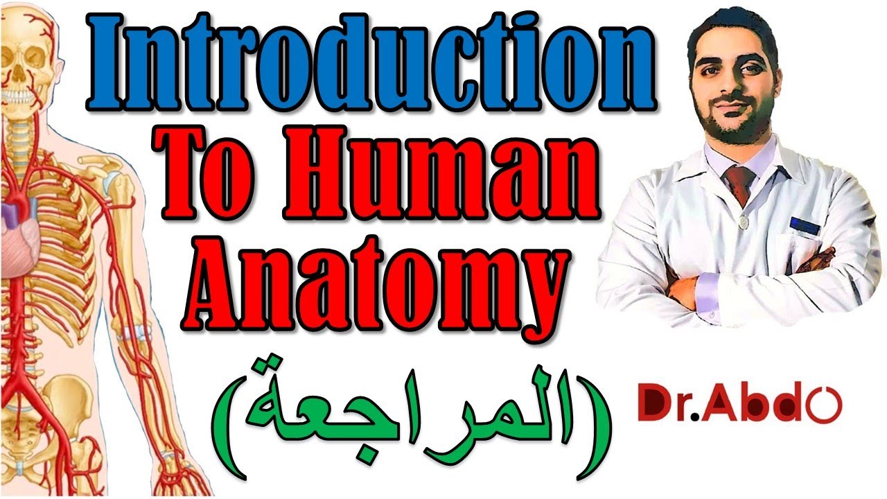19. Introduction to Human Anatomy [Revision] || مقدمة عن علم التشريح - سنة أولى طب || [A1] | [19/20]