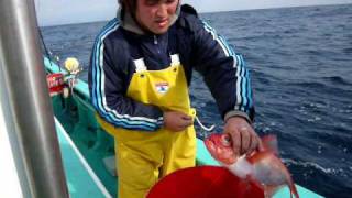 20080302 キンメ仕掛を回収－２