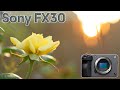 FX30 4K Footage TEST – FX30 4K 4:2:2 10-Bit CINEMATIC Video at 24fps and 60fps