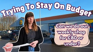 Weekly Grocery Shopping on a Budget At Lidl UK