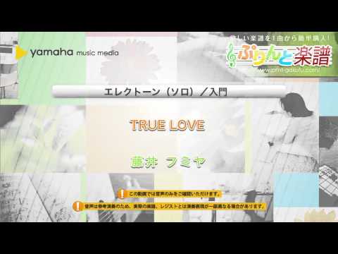 TRUE LOVE 藤井 フミヤ