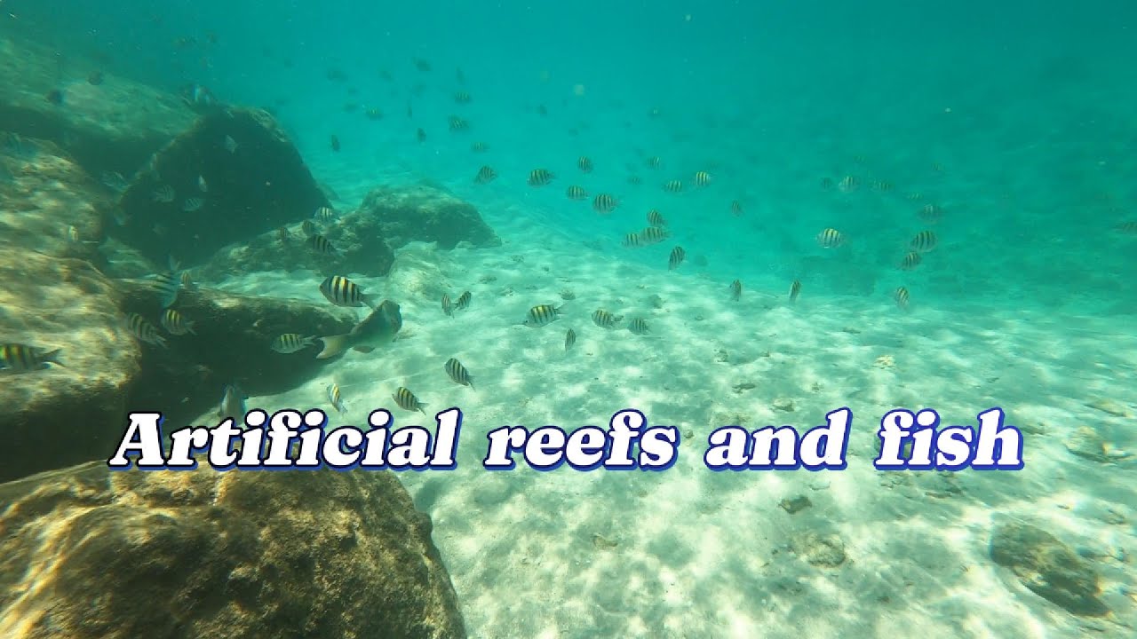 Reel Inspiration Sportfishing (West Palm Beach) - 2022 Lo Que Se Debe Saber Antes De Viajar