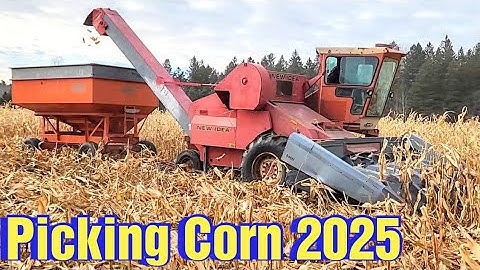Picking Corn with a New Idea Uni Corn Picker