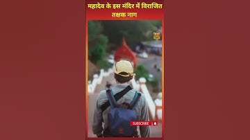 महादेव के इस मंदिर में विराजित  तक्षक नाग! Takshak Nag seated in this temple of Mahadev!#shorts