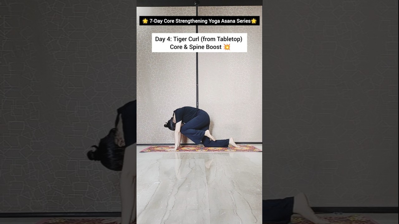 Tiger Curl 🐅 from Tabletop | Day 4 Core Strength Challenge