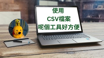 使用CSV檔案呢個工具好方便 (廣東話中文字幕) [多謝支持! 請免費訂閱。] @kelvincomputer