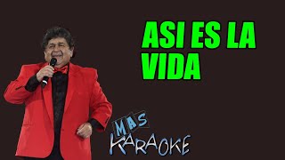 ASI ES LA VIDA 🍏 Los Palmeras (Mas Karaoke)
