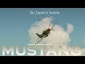 P-51 Mustang - the sound of freedom! Great pilot Jan Andersson flying a mustang at Hässlö, Sweden.