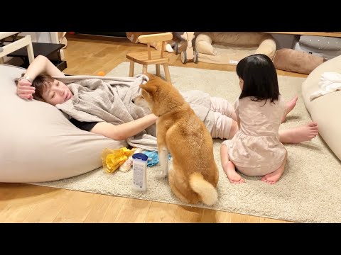 妊婦ママをマッサージ中どさくさに紛れこんでくる柴犬