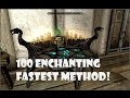 Skyrim Level 100 Enchanting Fast and Easy!!!