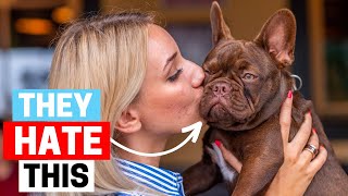 7 Things French Bulldogs hate that you should avoid