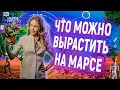 БАТАРЕЙКИ ИЗ БОРЩЕВИКА РЕАЛЬНОСТЬ?! ЛЕЧИМ ПОЧВУ ПО-НАУЧНОМУ | Наука Просто