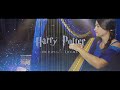 Harry potter  hedwig thme  harpe cover  evlina simon