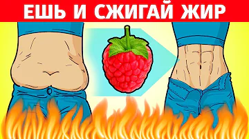 Какие есть жиросжигающие продукты