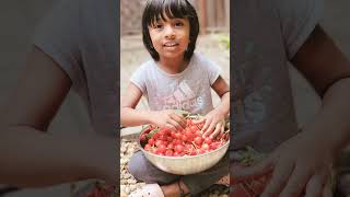 #backyard #cherrypicking #summer summer #2023 #kids