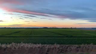 Roger & Brian Eno Cinnabar