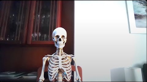 En 5 minutos vuelvo | Gavetero Desastre | A1-P4 | 2024