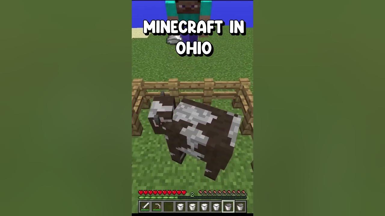 Minecraft In Ohio (Swag Like Ohio) shorts YouTube
