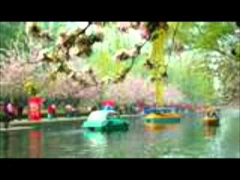 Most Beautiful Chinese Instrumental Music......the Beauty of PLUM BLOSSOMS !