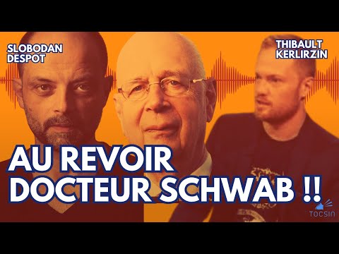 Schwab écarté : les dessous de son départ ! - Thibault Kerlirzin et Slobodan Despot